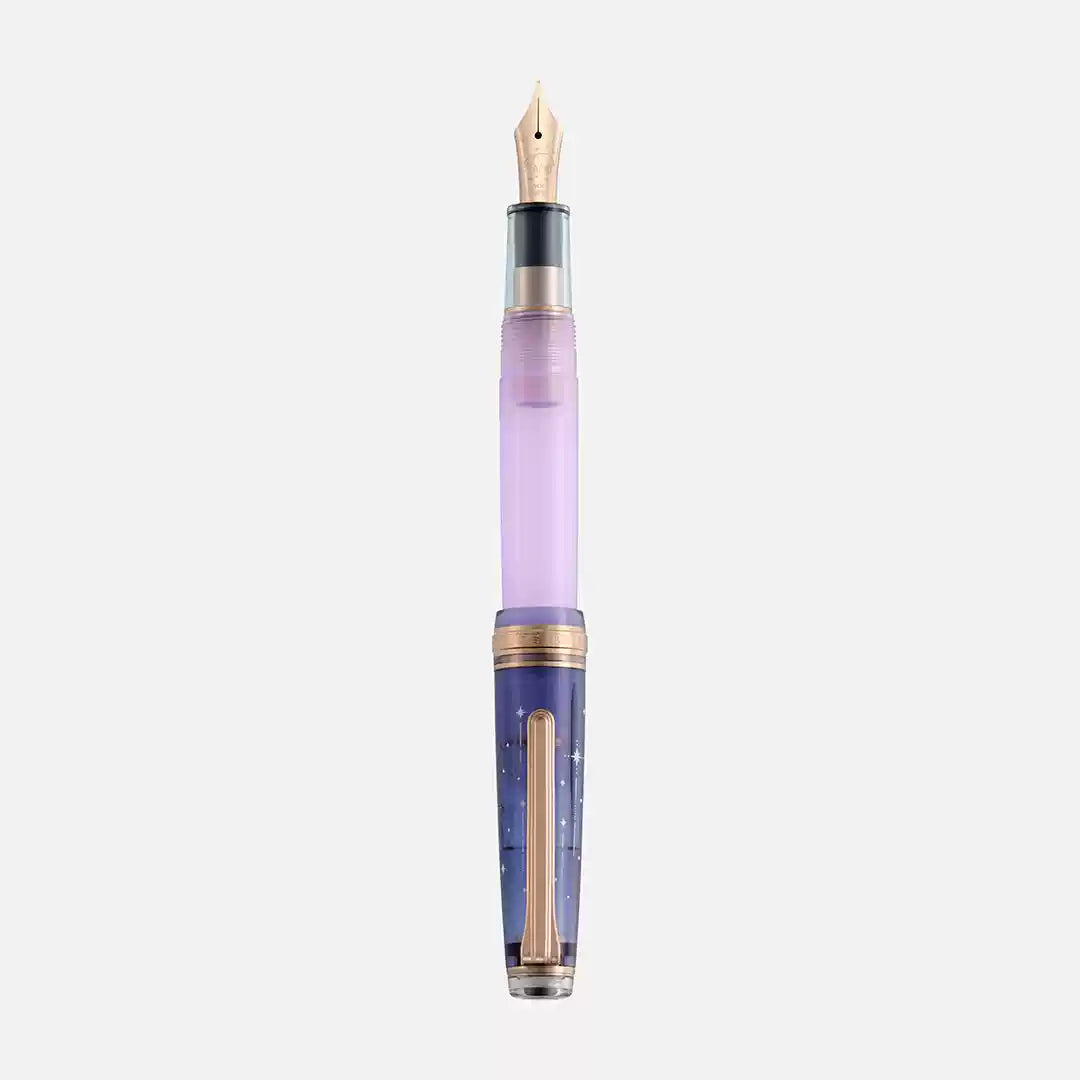 SAILOR X Ancora "Yumezora" 14k Gold/Steel Fountain Pen - Dream Night Limited Edition Set