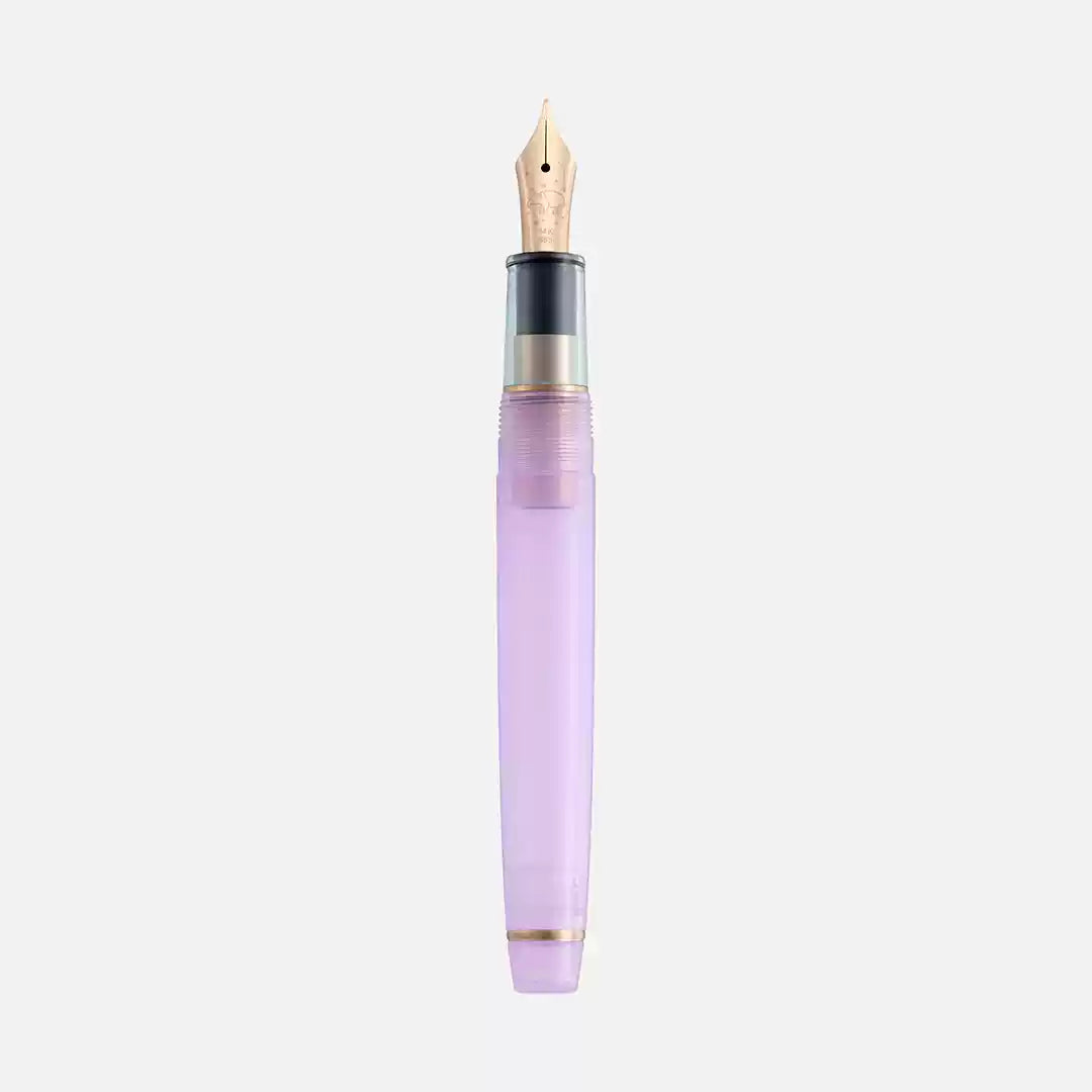 SAILOR X Ancora "Yumezora" 14k Gold/Steel Fountain Pen - Dream Night Limited Edition Set