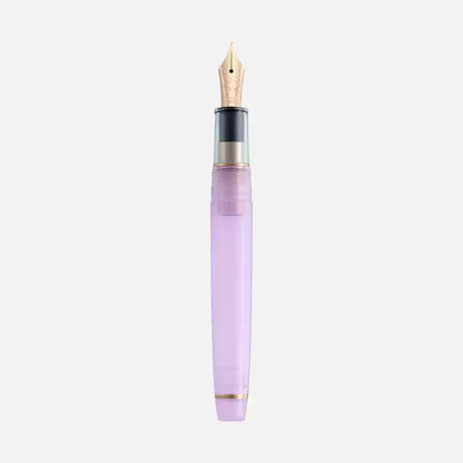 SAILOR X Ancora "Yumezora" 14k Gold/Steel Fountain Pen - Dream Night Limited Edition Set