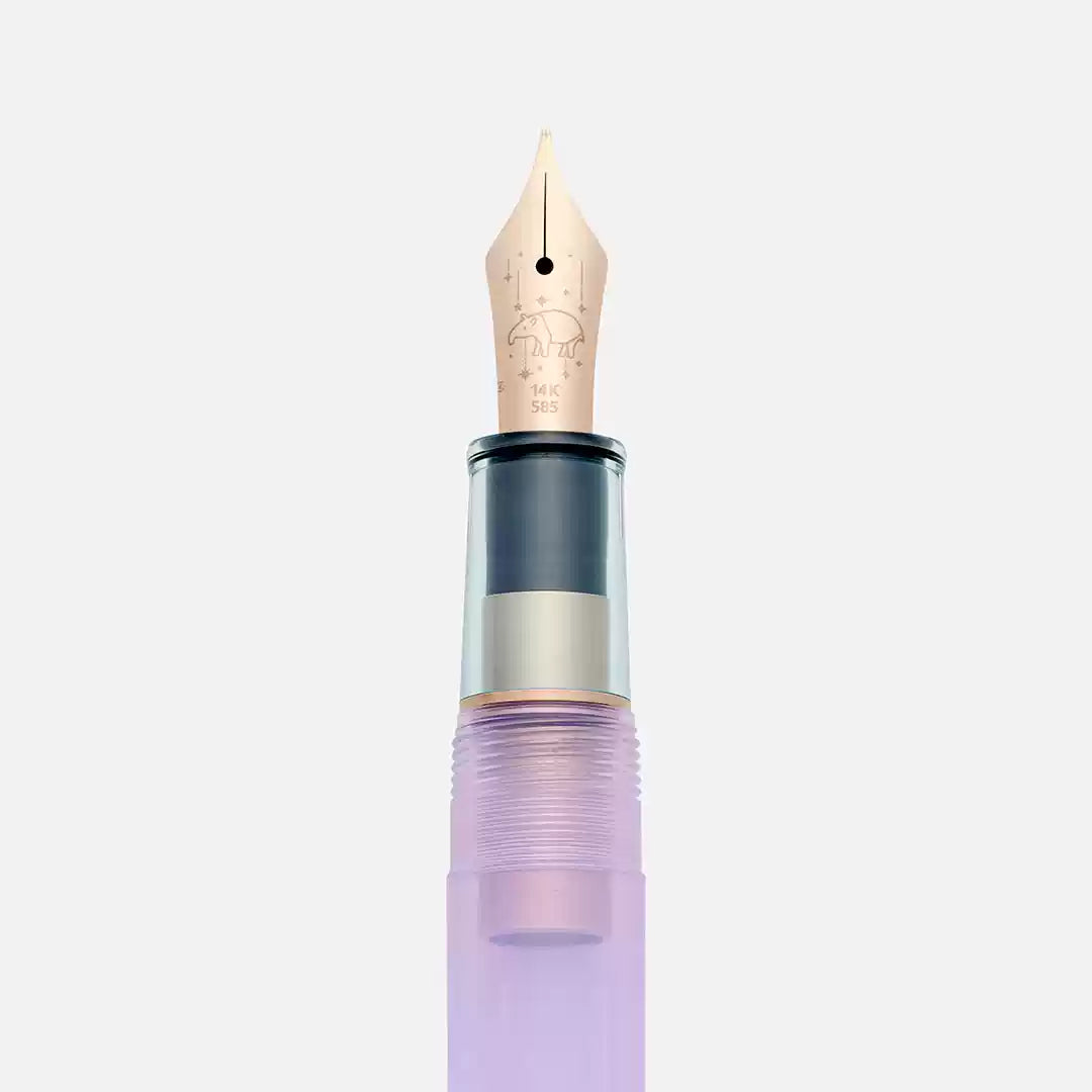 SAILOR X Ancora "Yumezora" 14k Gold/Steel Fountain Pen - Dream Night Limited Edition Set
