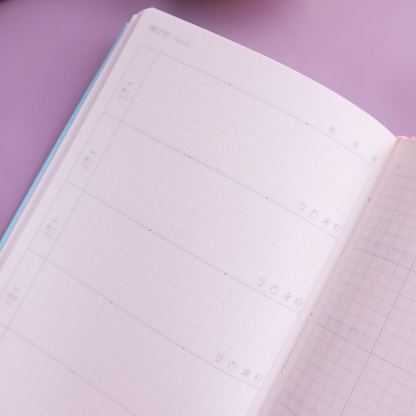 KINBOR - Undated Weekly Planner (Pink, Cats, Floral)